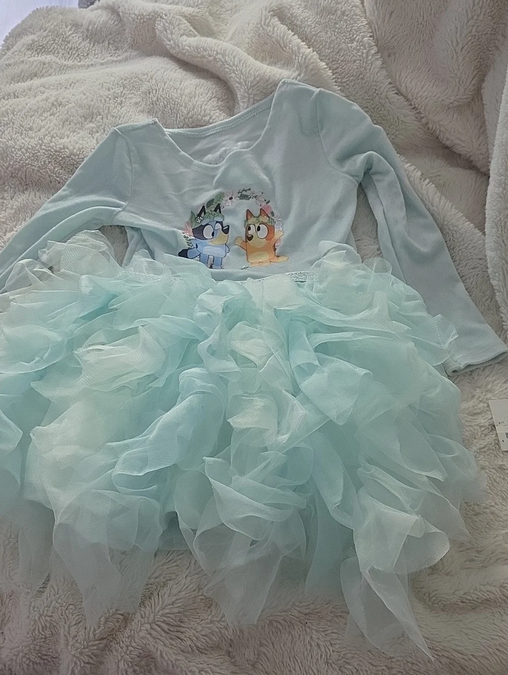 H&M Bluey And Bingo  Light Aqua Ruffle Tutu Dress with Cartoon Front Characters